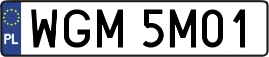 WGM5M01