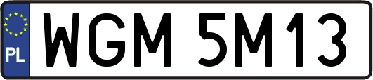 WGM5M13