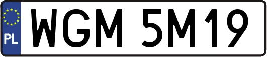 WGM5M19