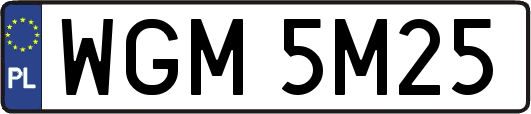 WGM5M25