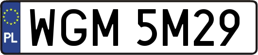 WGM5M29