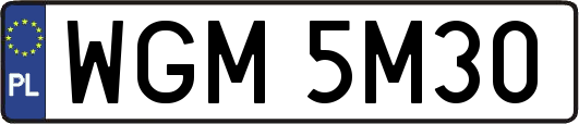 WGM5M30