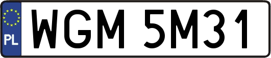 WGM5M31