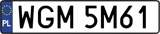 WGM5M61