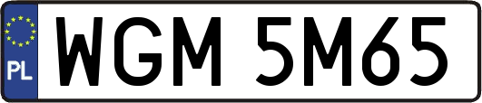 WGM5M65