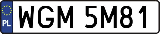 WGM5M81