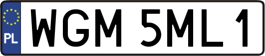 WGM5ML1