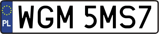 WGM5MS7