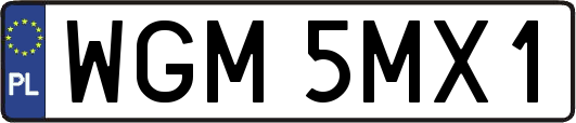 WGM5MX1