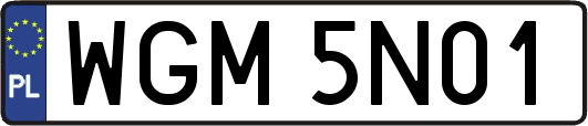 WGM5N01