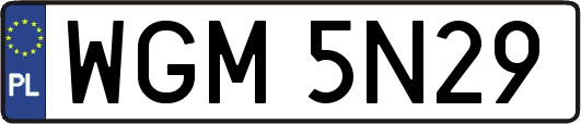 WGM5N29