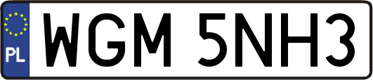 WGM5NH3