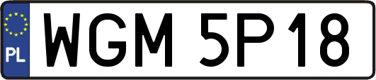 WGM5P18