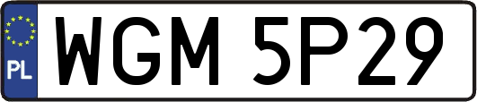 WGM5P29