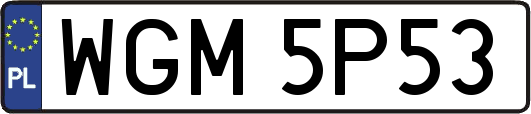 WGM5P53
