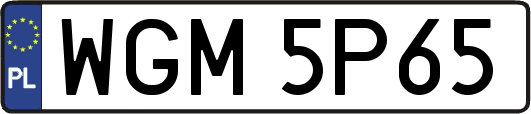 WGM5P65