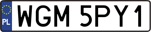 WGM5PY1