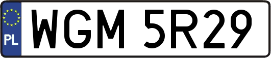 WGM5R29