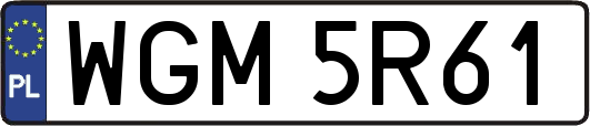 WGM5R61