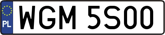 WGM5S00