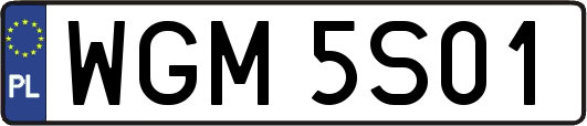 WGM5S01
