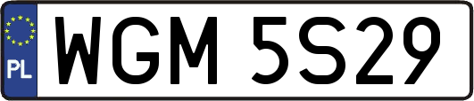 WGM5S29
