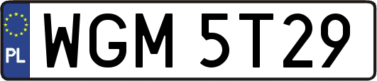 WGM5T29