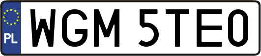 WGM5TE0