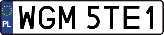 WGM5TE1