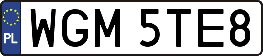 WGM5TE8