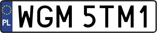 WGM5TM1