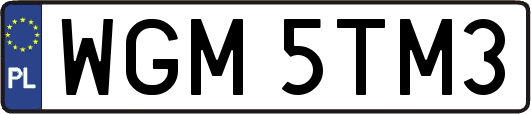 WGM5TM3