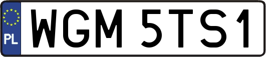 WGM5TS1
