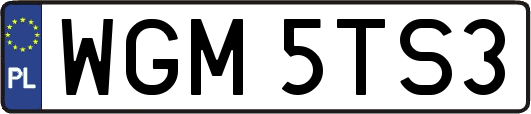 WGM5TS3