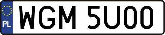 WGM5U00