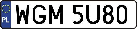 WGM5U80