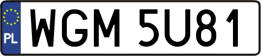 WGM5U81