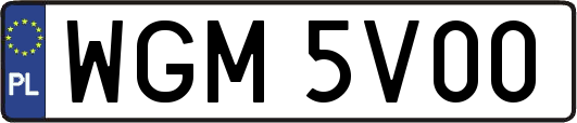 WGM5V00