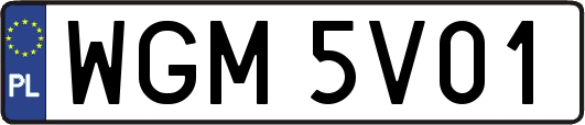 WGM5V01