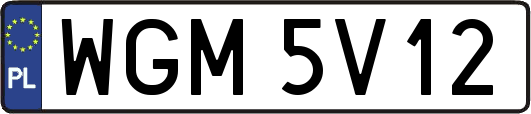WGM5V12