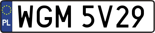 WGM5V29