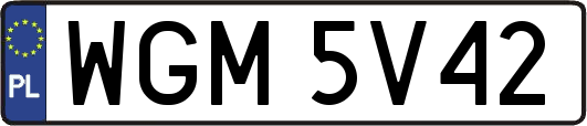 WGM5V42