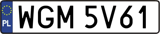 WGM5V61
