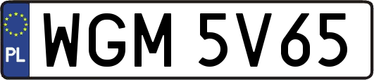WGM5V65