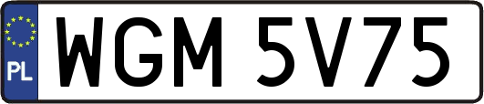 WGM5V75