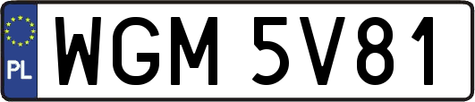 WGM5V81