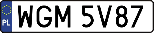 WGM5V87