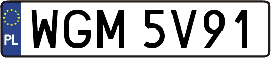 WGM5V91