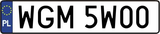 WGM5W00