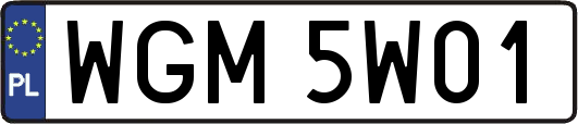 WGM5W01
